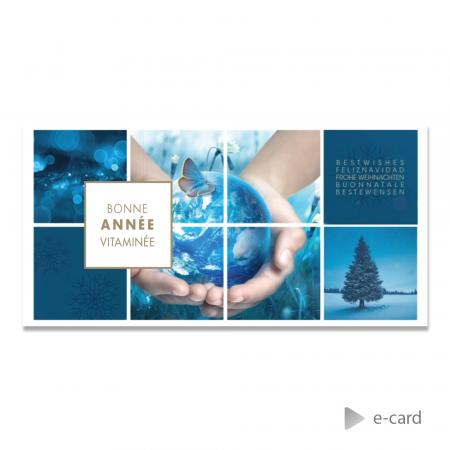 E-card a healthy new year - Franstalige versie