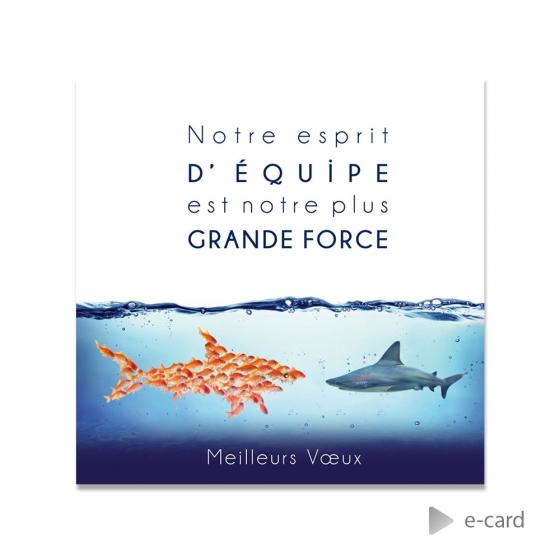 Franstalige e-card met haai en quote