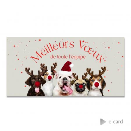 E-card met hondjes Franstalig
