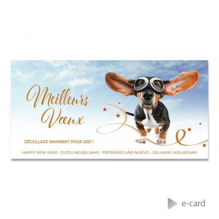 E-card 'wij vliegen er meteen in' - Franstalige versie