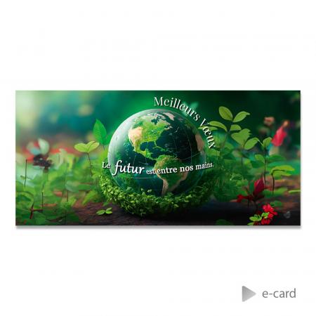 Franstalie e-card met slogan
